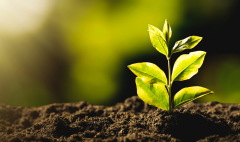 5 tendências na agricultura sustentável para estar atento em 2026 - artigo blog AZV