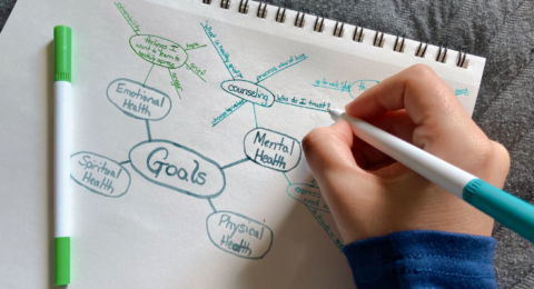 Blog-Mapas-Mentais-e-a-sua-importância-na-organização!-zonaverde