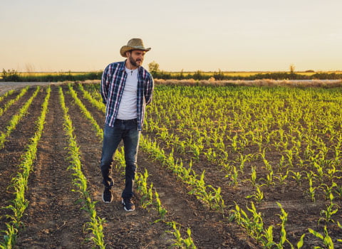 Curso-producao-integrada-modo-producao-integrado-geral-zonaverde