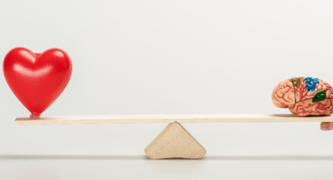 curso-online-inteligencia-emocional-zonaverde