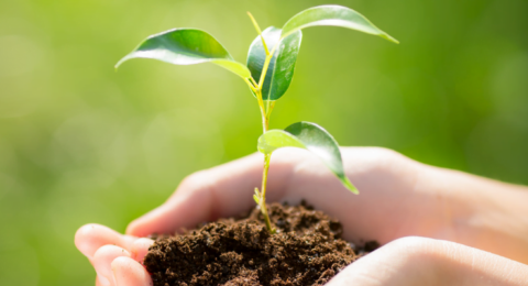 UFCD 7580 – Agricultura Sustentável