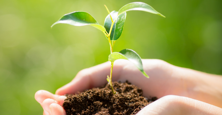 UFCD 7580 – Agricultura Sustentável