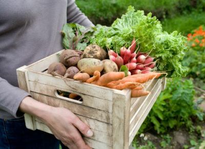 ufcd-9580-comercializacao-agroalimentar-em-circuitos-curtos