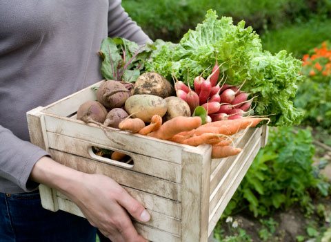 ufcd-9580-comercializacao-agroalimentar-em-circuitos-curtos