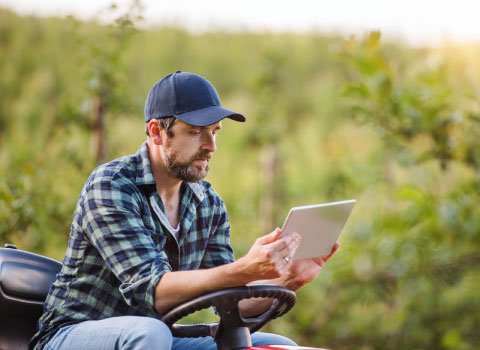 ufcd-2889-gestao-da-empresa-agricola