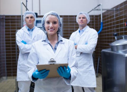 brc-food-versao-8-norma-global-de-seguranca-alimentar