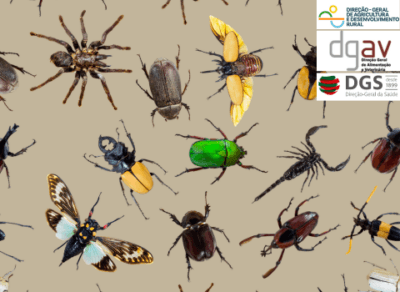gestão de pragas - cursos azv