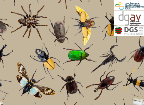 gestão de pragas - cursos azv