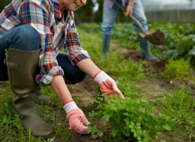 ufcd-6366-seguranca-e-saude-no-trabalho-agricola