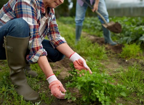 ufcd-6366-seguranca-e-saude-no-trabalho-agricola