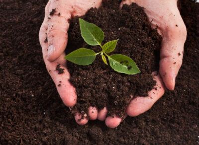 ufcd-4436-solos-e-fertilidade